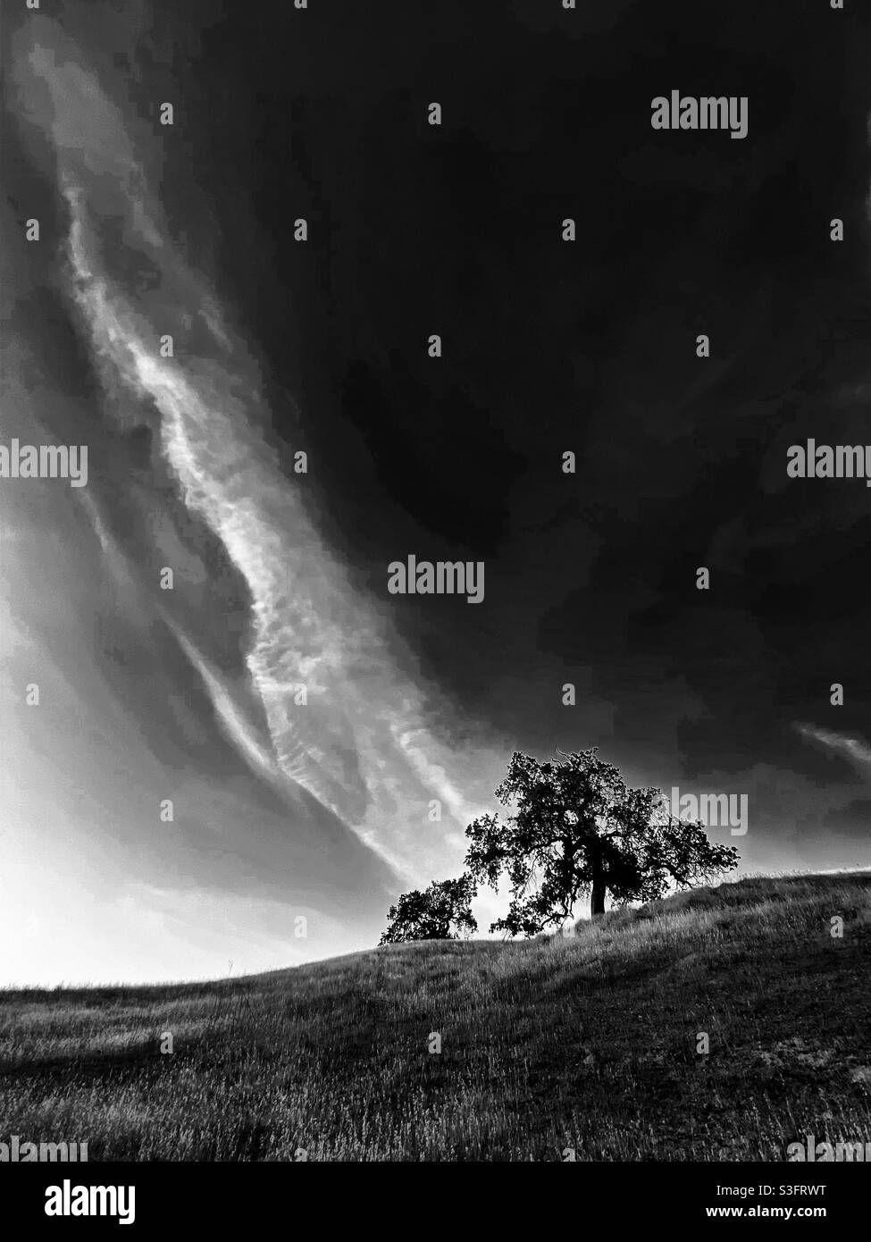Nuvole crepuscolo su alberi di quercia colline pedemontane, in bianco e nero Foto Stock