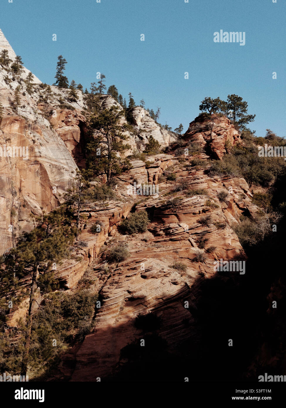 Formazioni di roccia rossa al Parco Nazionale di Zion Foto Stock