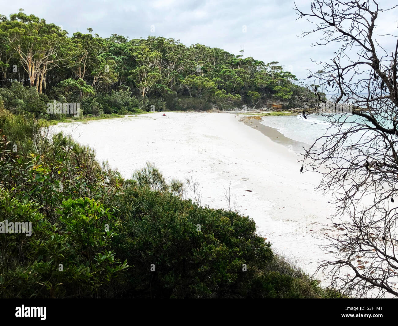 La spiaggia di Greenfield, lungo la White Sands Walk a Jervis Bay, ospita alcune delle spiagge più bianche del mondo Foto Stock