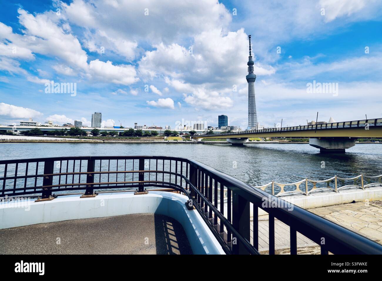 Sumida River si trova a Tokyo, Giappone. La foto è stata scattata dal Parco di Sumida. Foto Stock