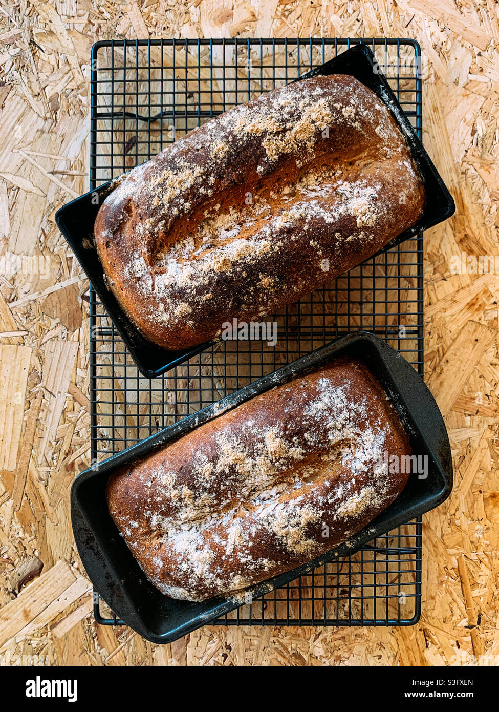 Due pane granaio cotto in casa ancora nelle loro teglie da forno Foto Stock