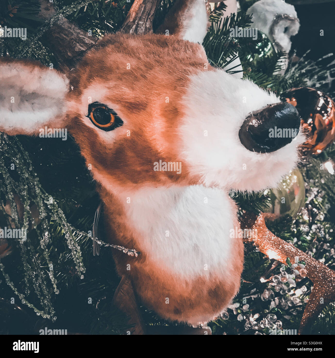 Ripieno cara testa decorazione di Natale Foto Stock