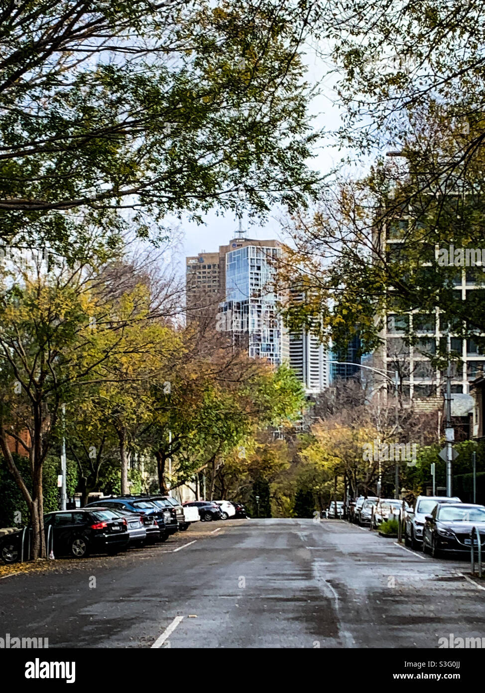 East Melbourne in inverno Foto Stock