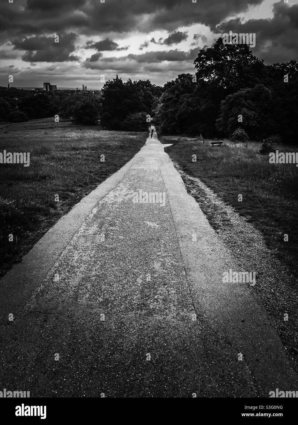 Parliament Hill Path, Hampstead Heath Foto Stock