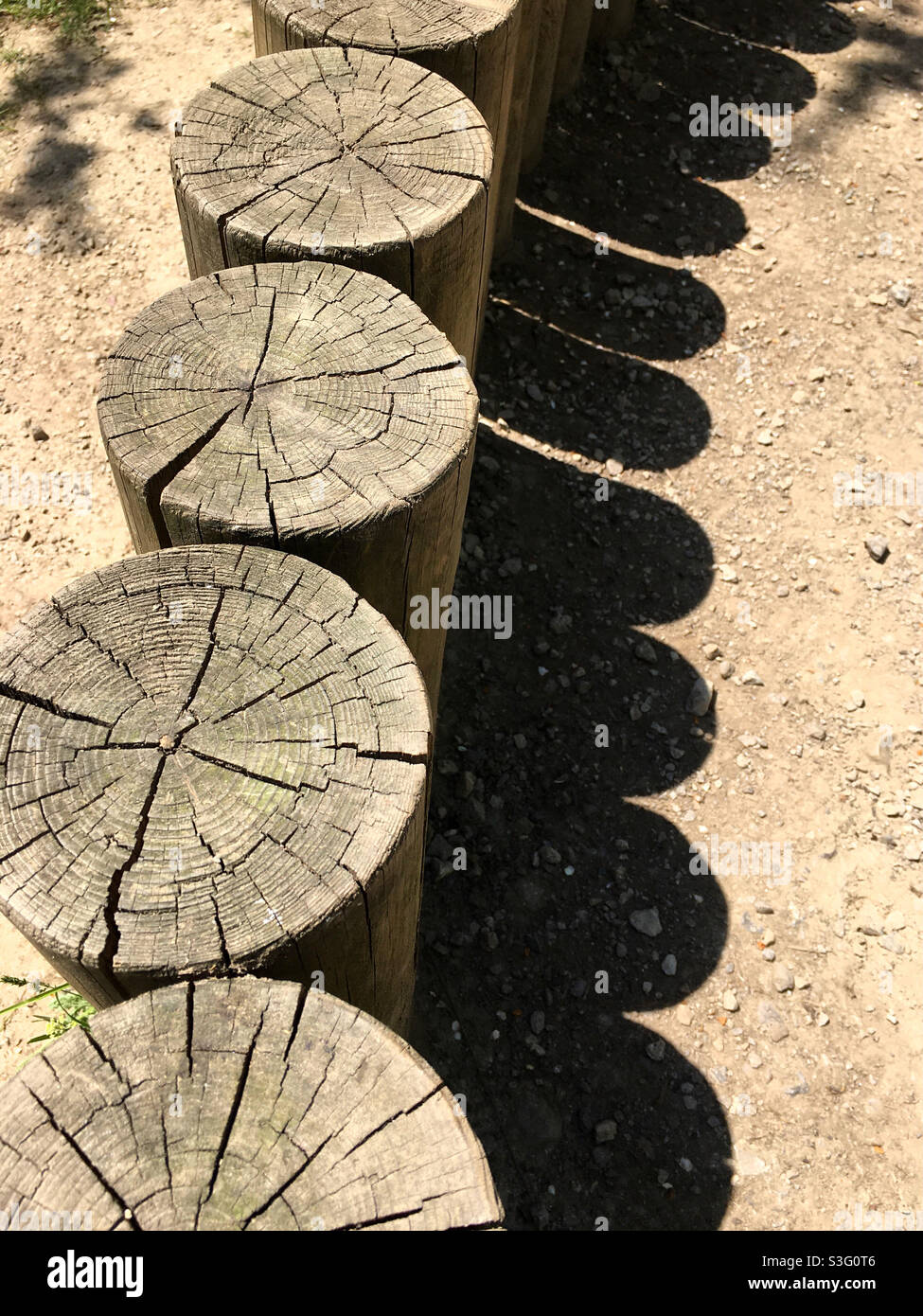 Ceppi di legno Foto Stock