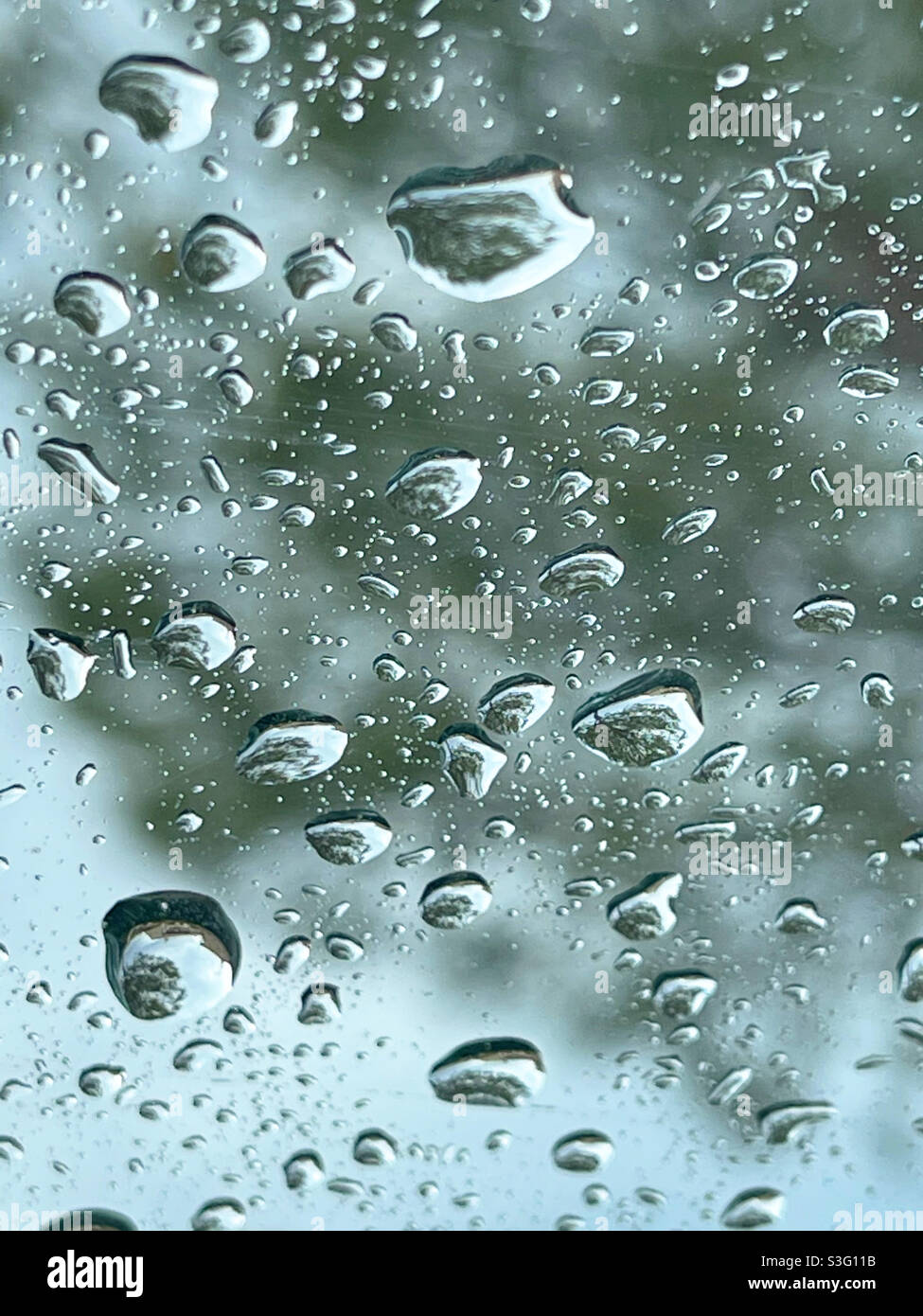 Gocce d'acqua sulla superficie del vetro. Foto Stock