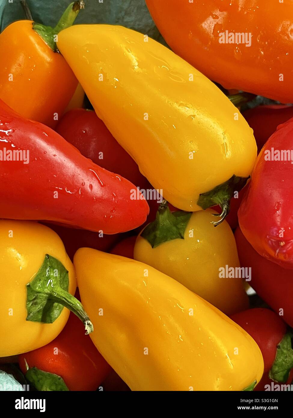 Peperoni dolci freschi, lavati e pronti a mangiare - Immagine stock catturata con smartphone