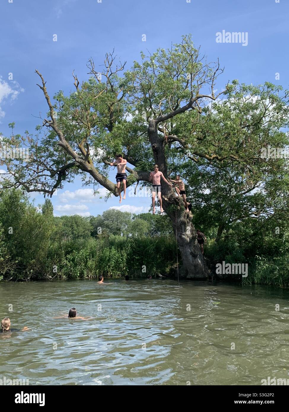 Gli adolescenti saltano fuori da un albero nella River Cam Foto Stock