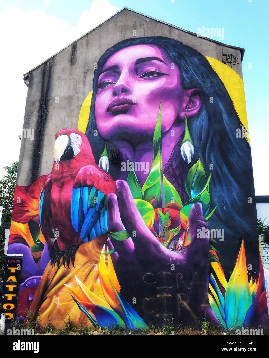 Street Art a Belfast dell'artista Sancho con una donna con un pappagallo Foto Stock