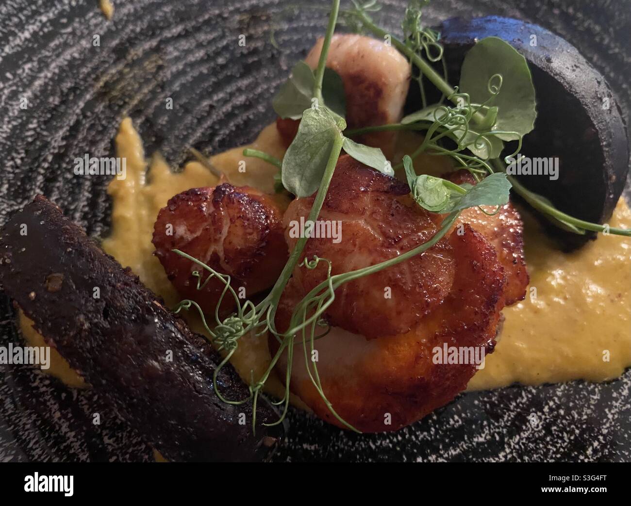 Bury Black Pudding con Scollops Foto Stock
