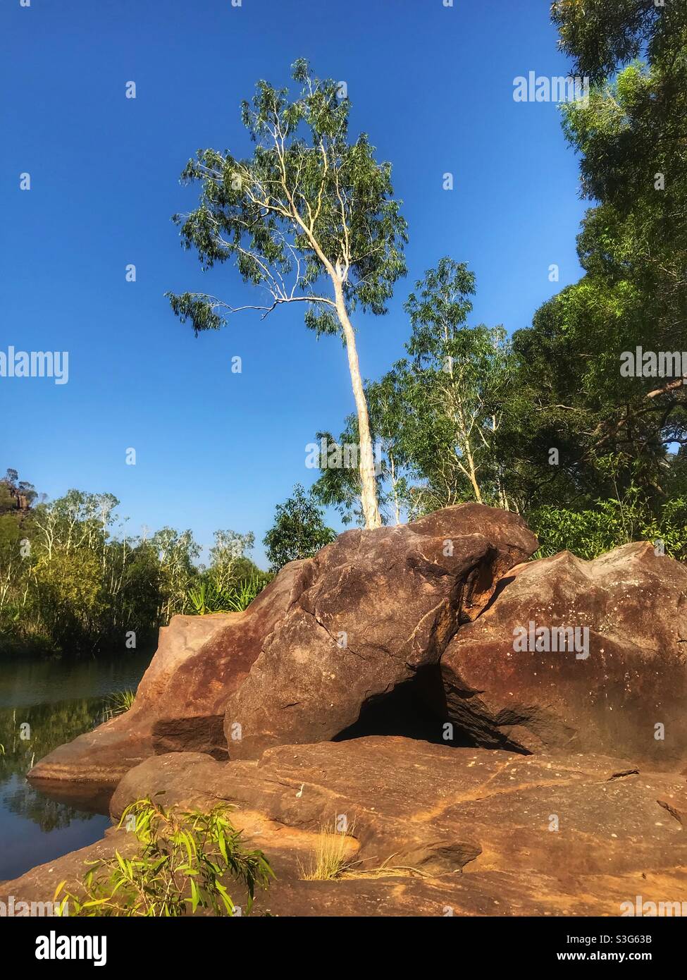 Scenario sul sentiero per Jim Jim Falls, Kakadu National Park, Northern Territory, Australia Foto Stock