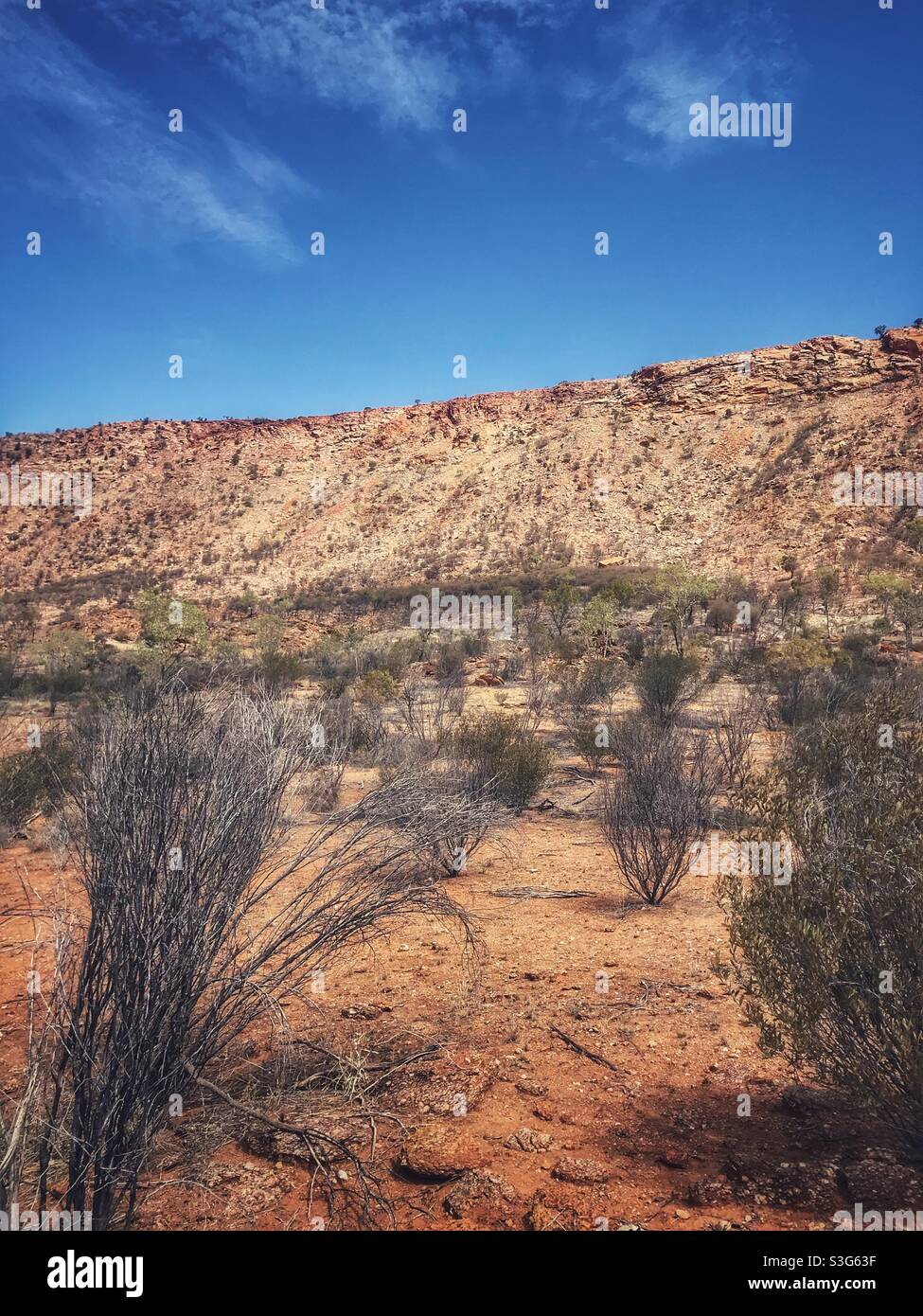 Paesaggio desertico vicino ad Alice Springs, territorio del Nord, Australia - Immagine stock catturata con smartphone