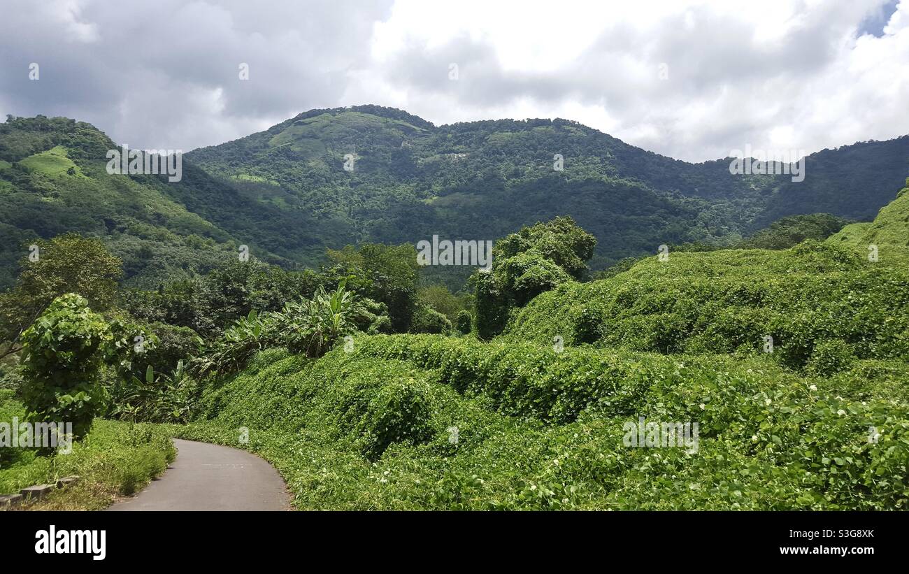 Piccola montagna a kakkayam. Grande sentiero per trekking per persone avventurose. Foto Stock