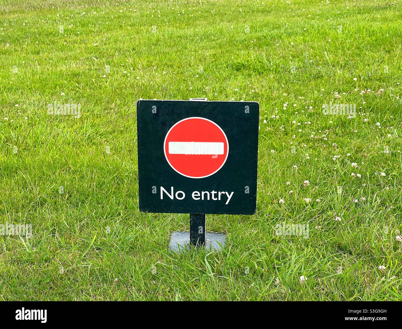 Nessun cartello d'ingresso su uno sfondo di erba verde - Immagine stock catturata con smartphone