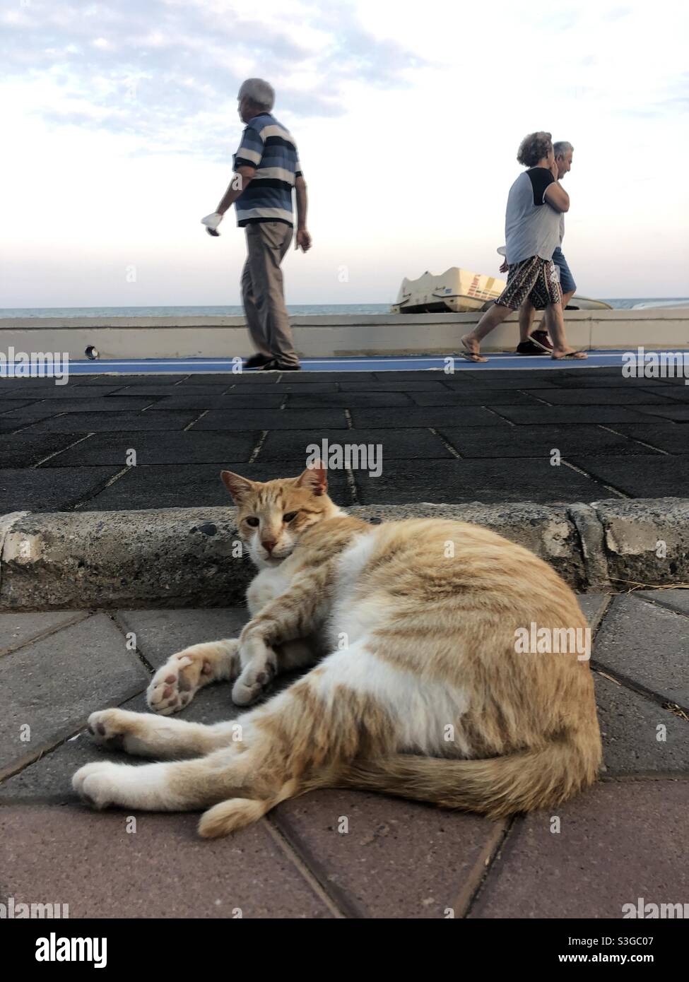 Gatto vagabro che giace comodamente sul marciapiede come la gente passa Foto Stock