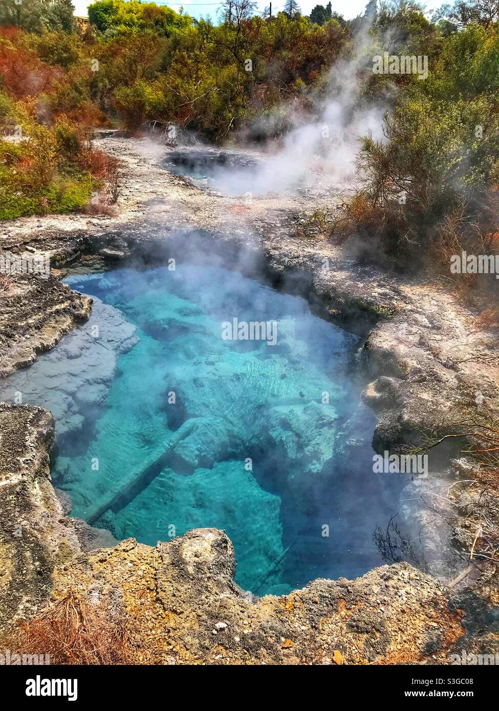 Piscina geotermica a Rotorua, Isola del Nord, Nuova Zelanda Foto Stock