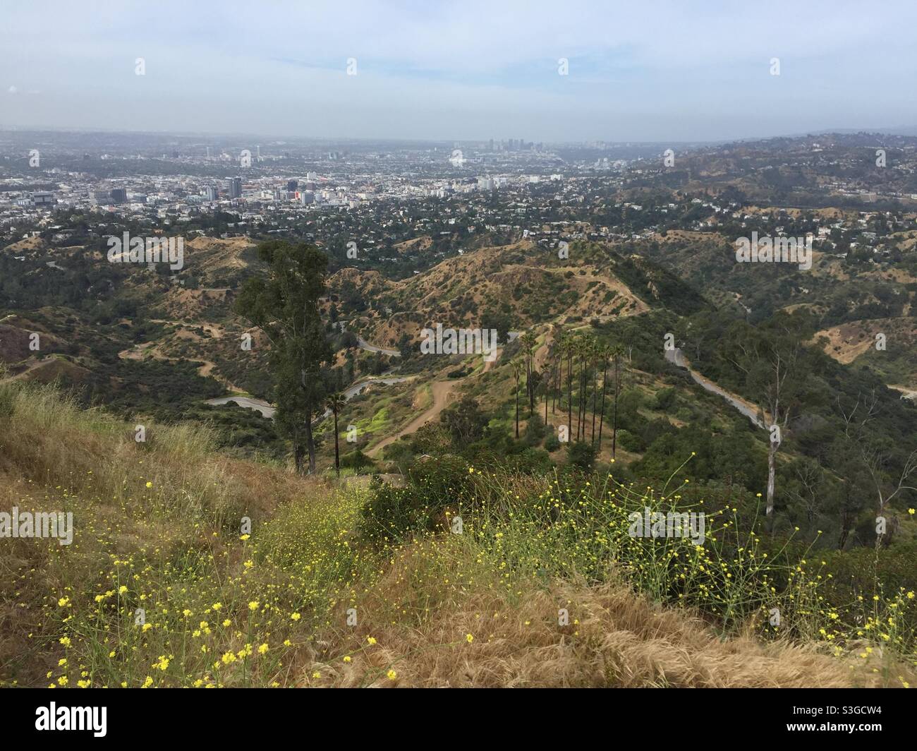 Vista di Los Angeles da Griffith Park, Los Angeles, California, Stati Uniti Foto Stock