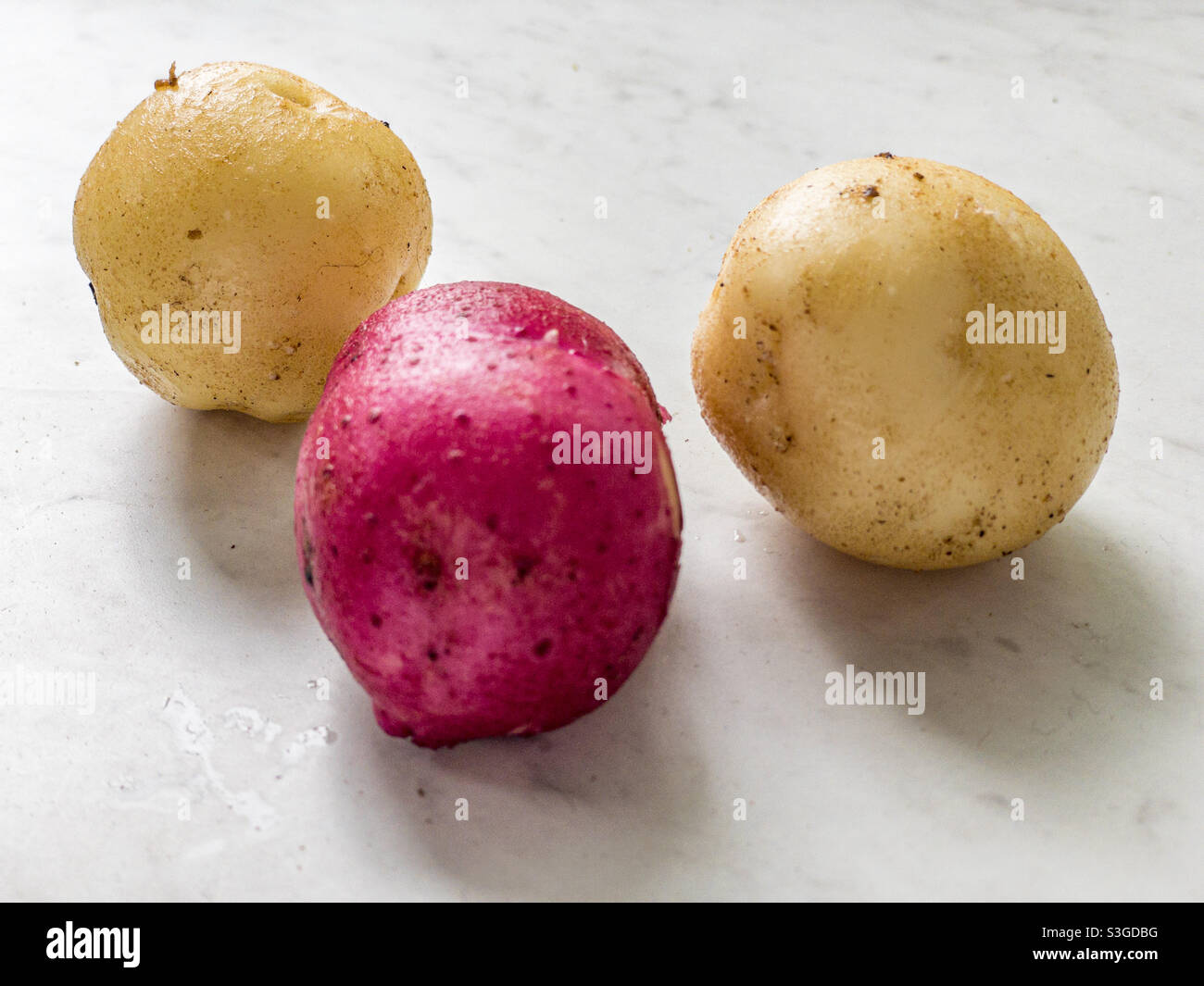 Piccole patate rosse e gialle. Foto Stock