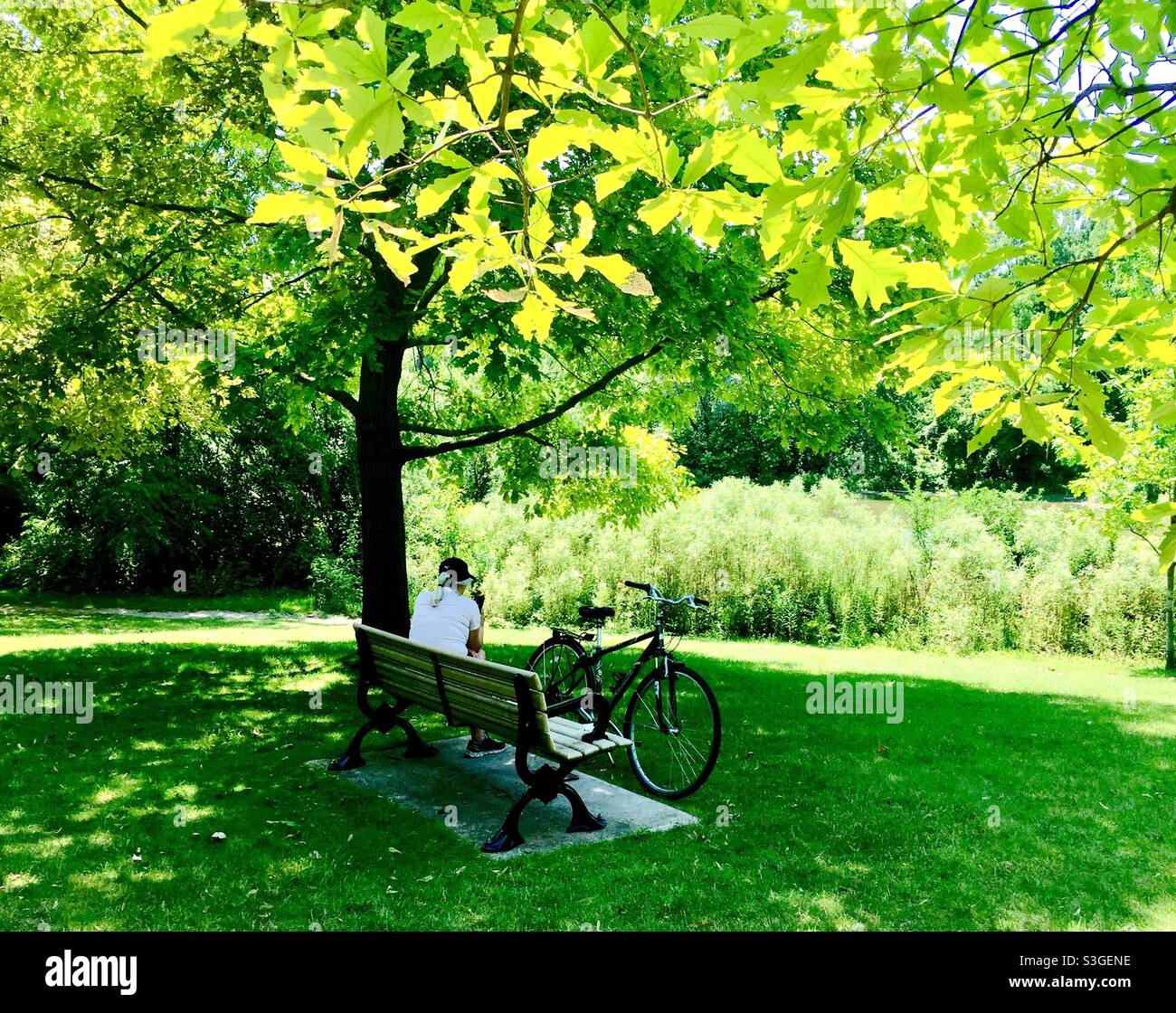 Una donna ciclista controlla il suo telefono su una panchina sotto un albero frondoso in un parco incantevole, Ontario, Canada. Concetti: Pausa, cambio di ritmo, natura, comunicazione, shinrin-yoku, rilassante - Immagine stock catturata con smartphone