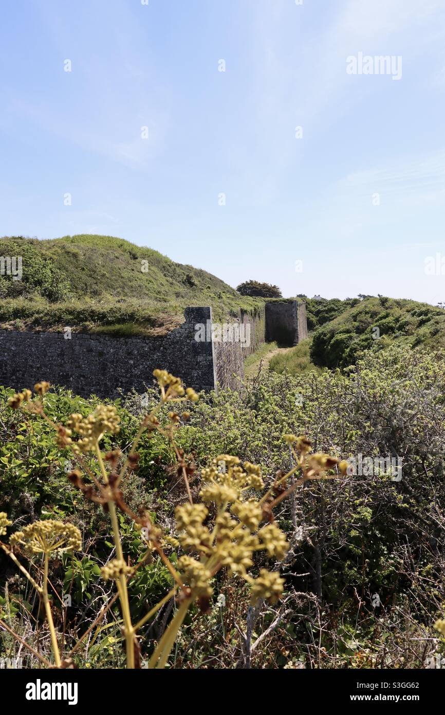 Tra le piante selvatiche nella foresta, rovine di un castello all'isola di Houat, Bretagna, Morbihan, Francia Foto Stock