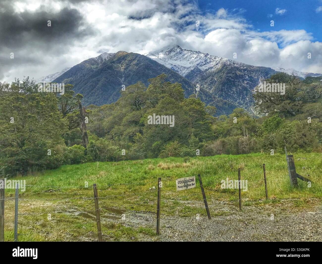 Campagna con montagne sullo sfondo, Isola del Sud, Nuova Zelanda Foto Stock