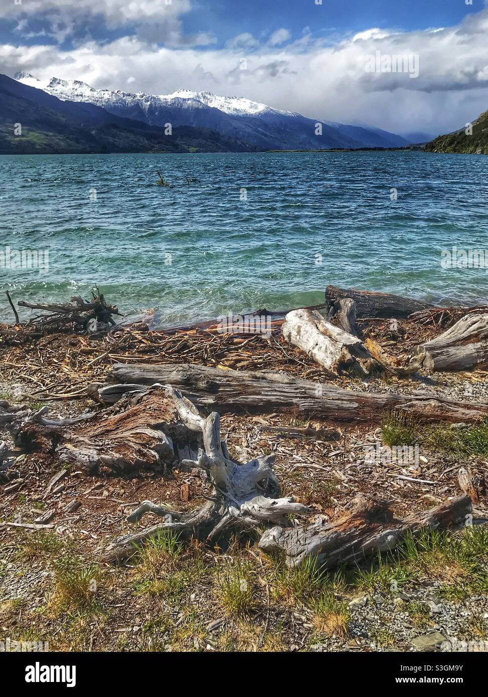 Driftwood sulla riva del lago Wanaka, Otago, Isola del Sud, Nuova Zelanda - Immagine stock catturata con smartphone