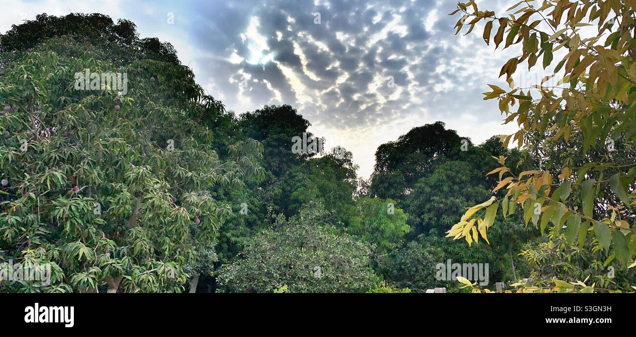 Cielo nuvoloso sulla zona di Zubara a Fujairah Foto Stock