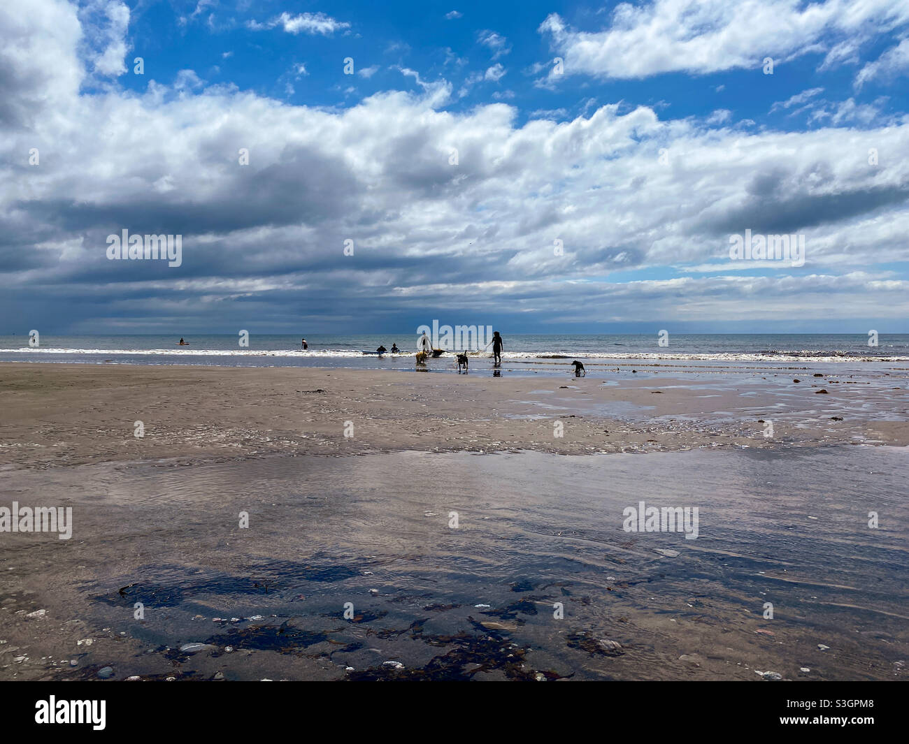 Cani e persone con sagome a Seaton Beach, Cornovaglia, Regno Unito, sotto il sole estivo - Immagine stock catturata con smartphone