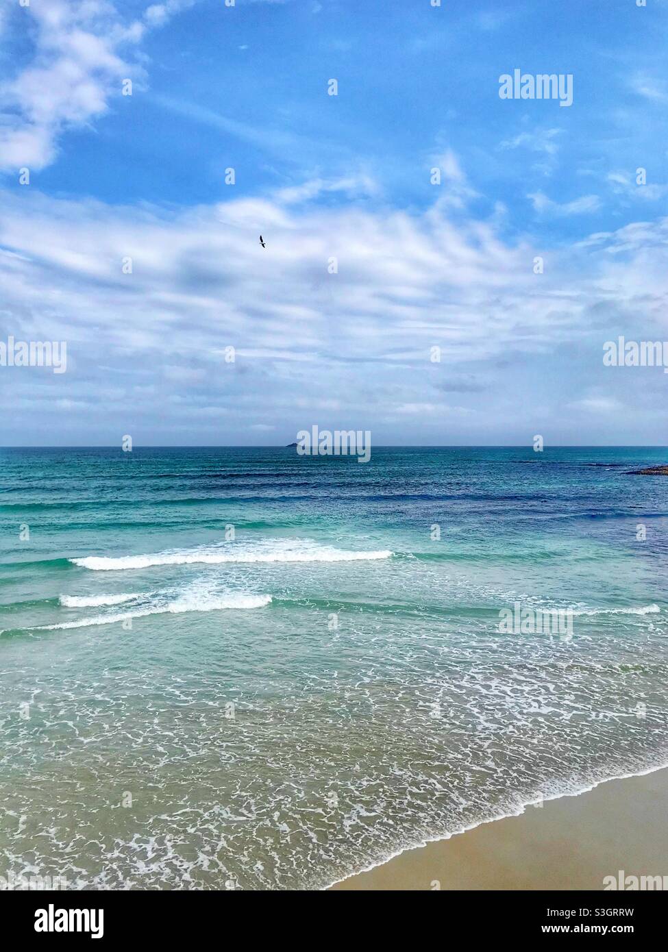 Seagull sorvola l'oceano a St Clair Beach, Dunedin, regione di Otago, Isola del Sud, Nuova Zelanda - Immagine stock catturata con smartphone