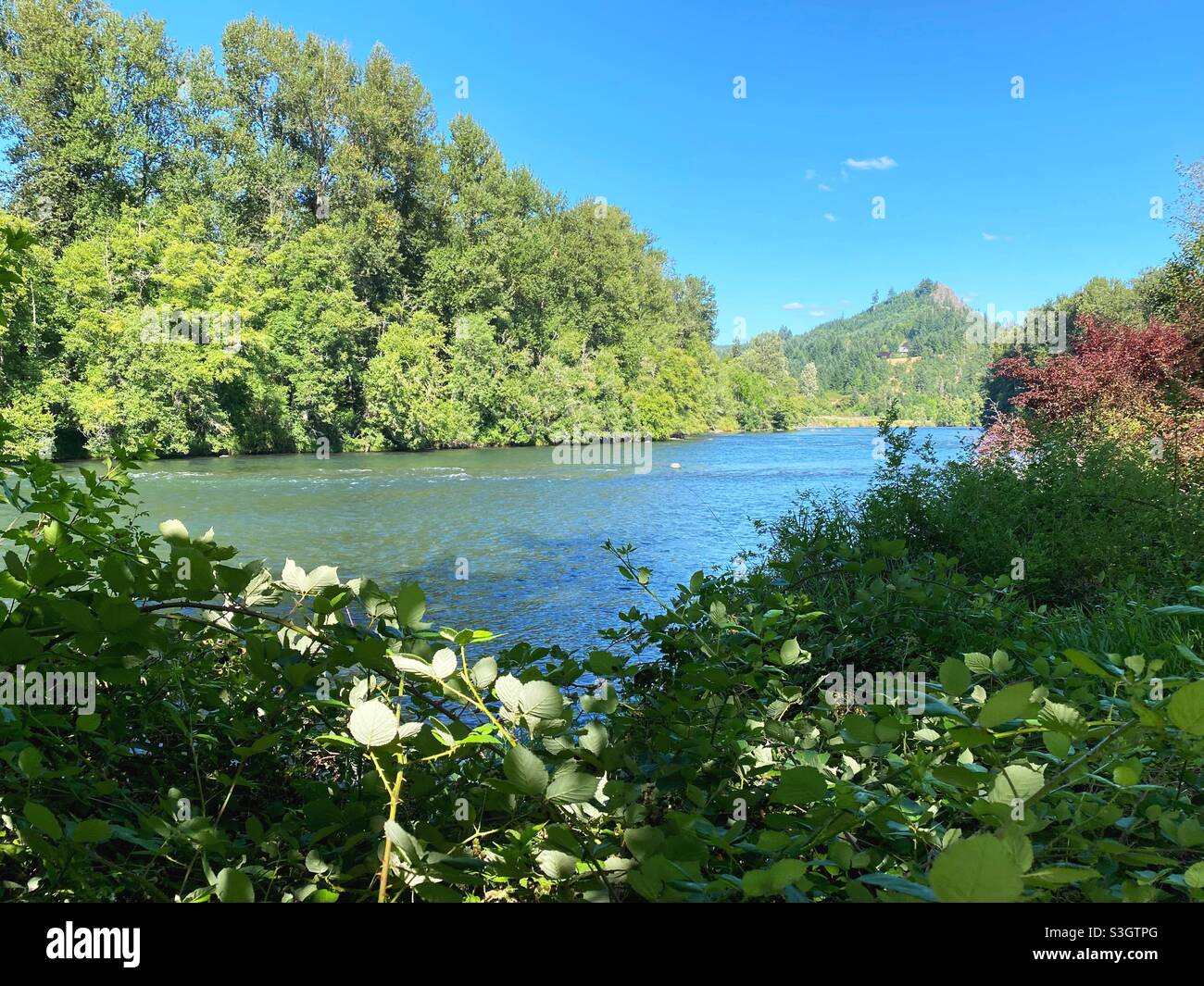 Il fiume Willamette presso il sito ricreativo Jasper state, vicino a Pleasant Hill, Oregon. Foto Stock