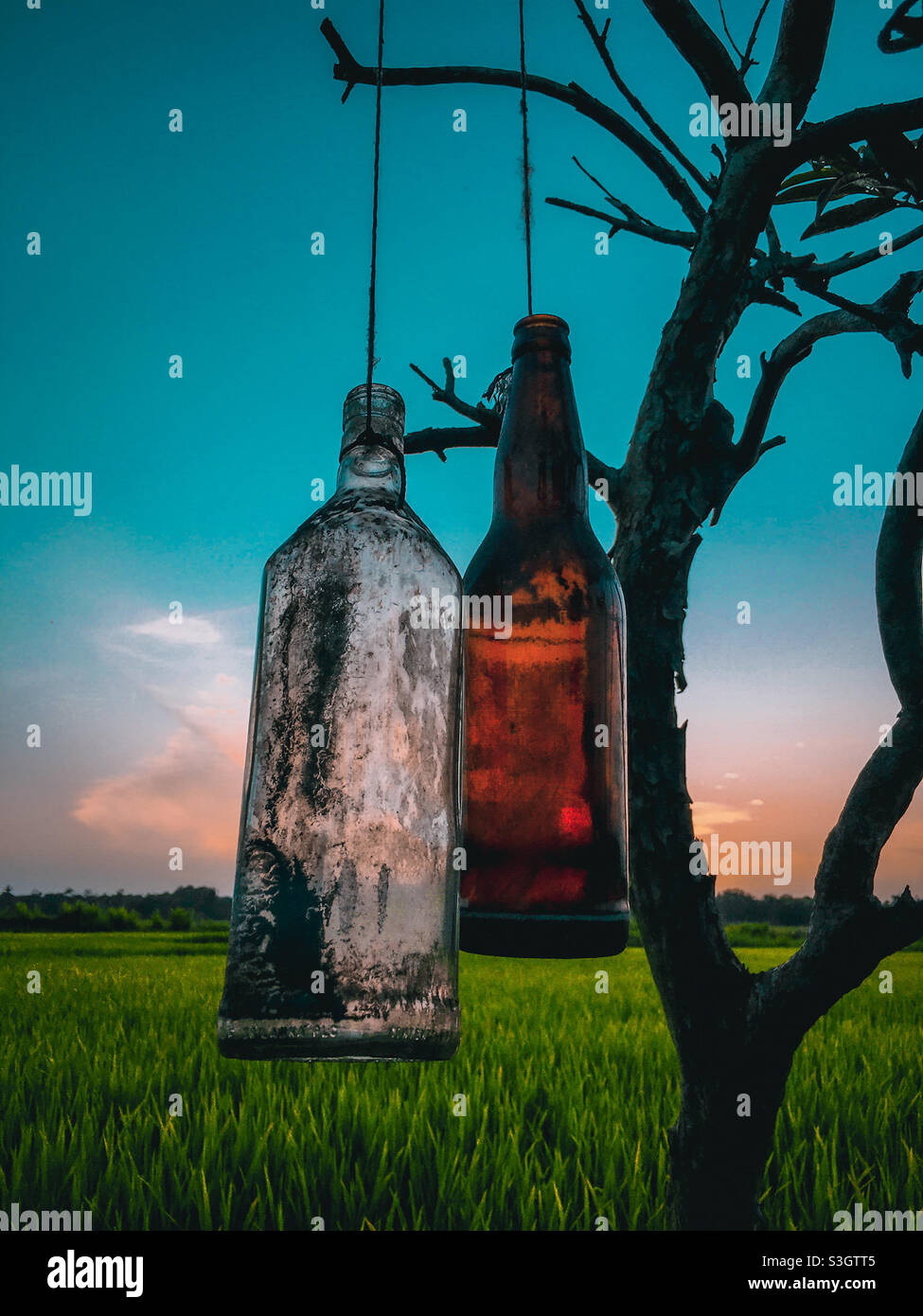 Acquisizione di sera Foto Stock