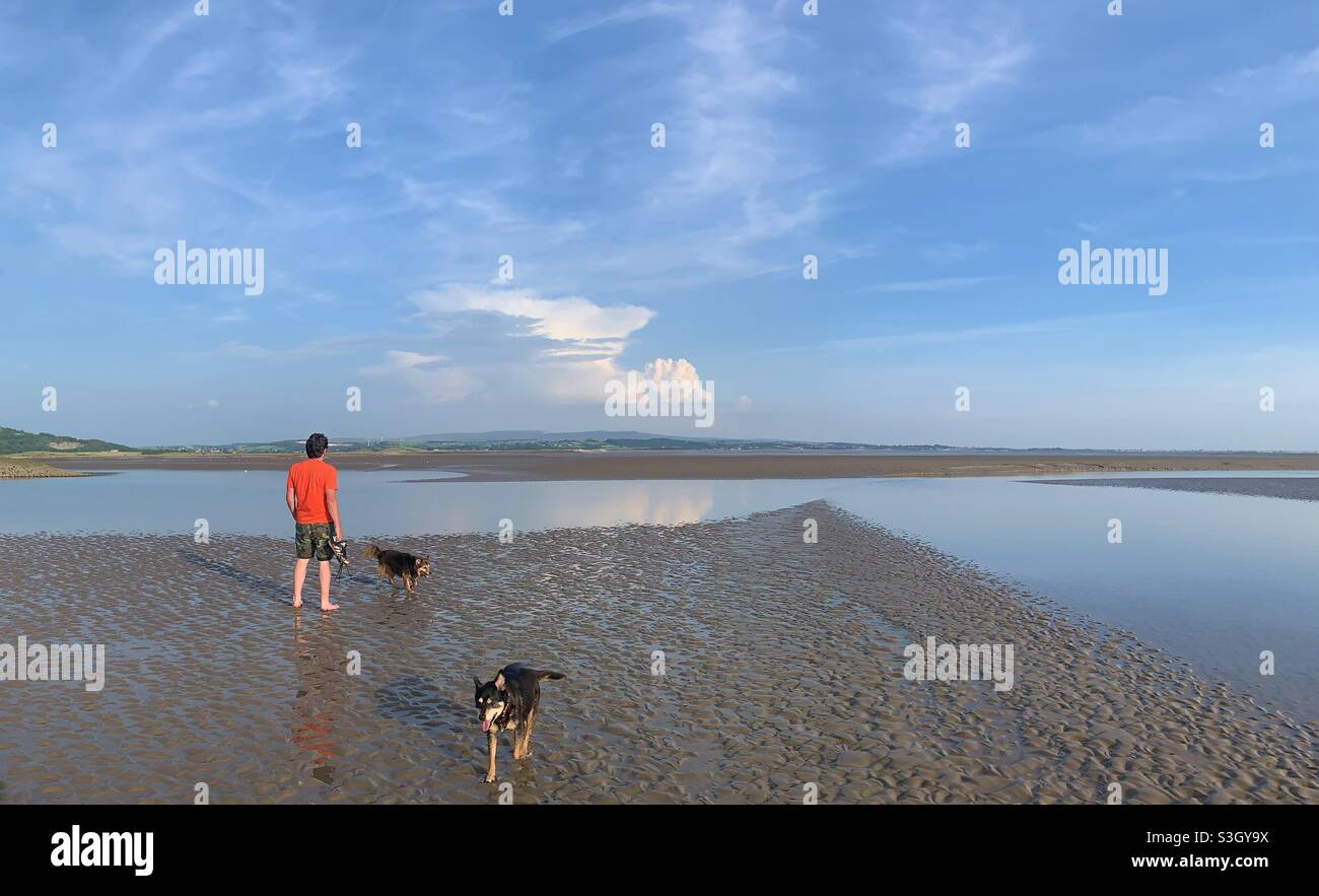 Uomo e cani sulla spiaggia di Sandy con canali di marea Foto Stock
