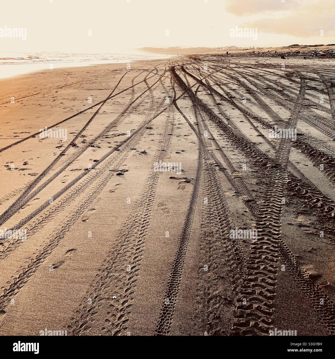 Piste di pneumatici nella sabbia di Castlecliff Beach in Nuova Zelanda Foto Stock