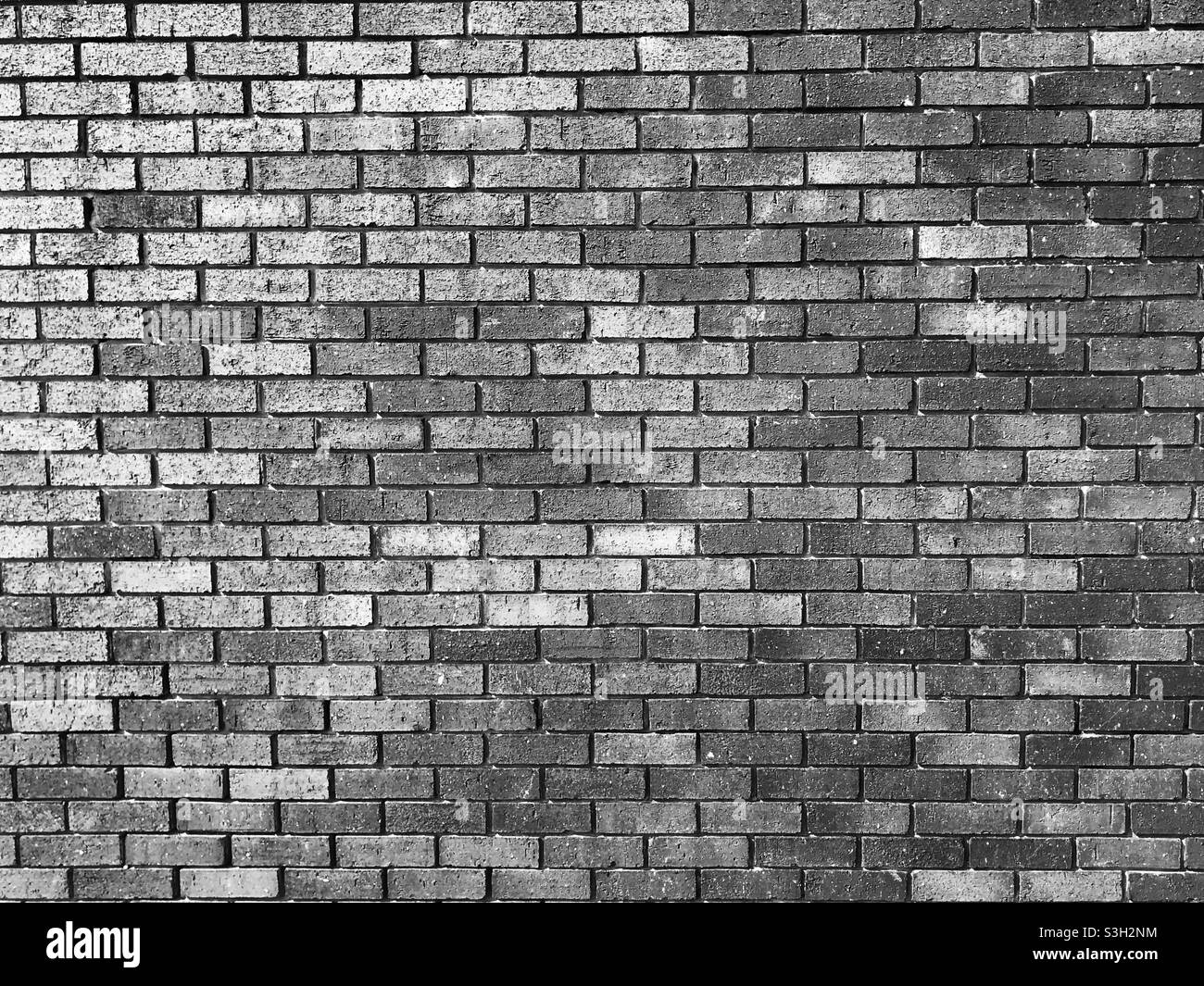 In bianco e nero un muro di mattoni Foto Stock