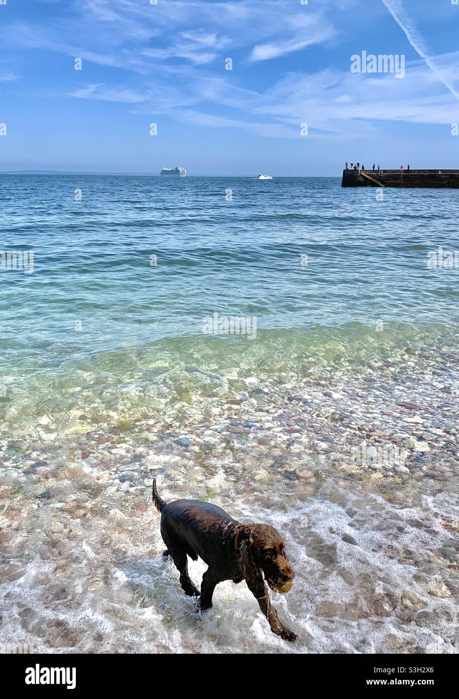 Estate in Devon - Immagine stock catturata con smartphone