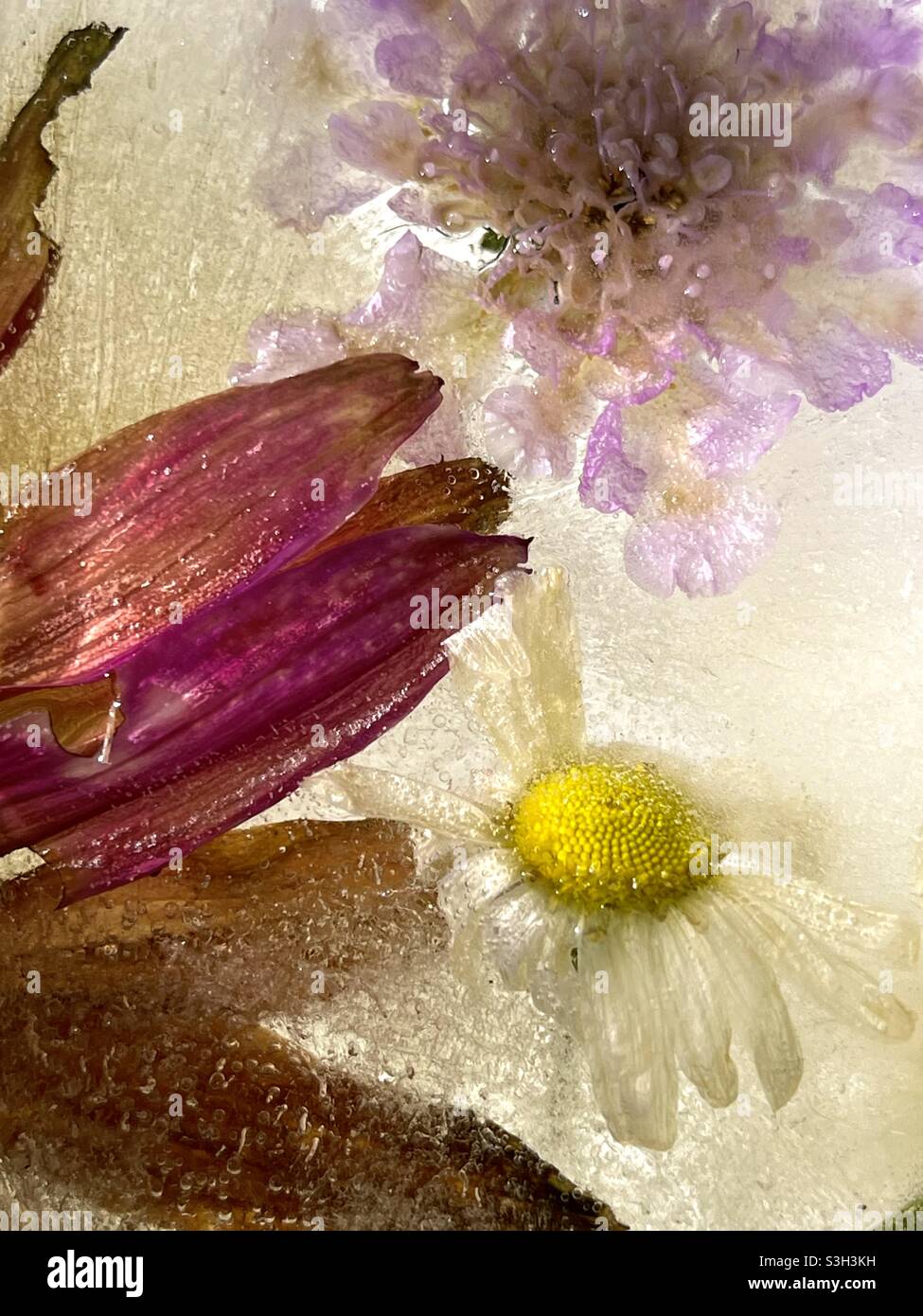Congelato nel tempo Foto Stock