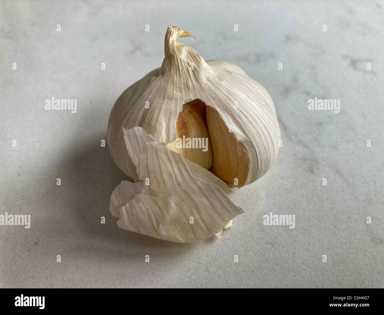 Bulbo d'aglio su un piano di lavoro in marmo Foto Stock