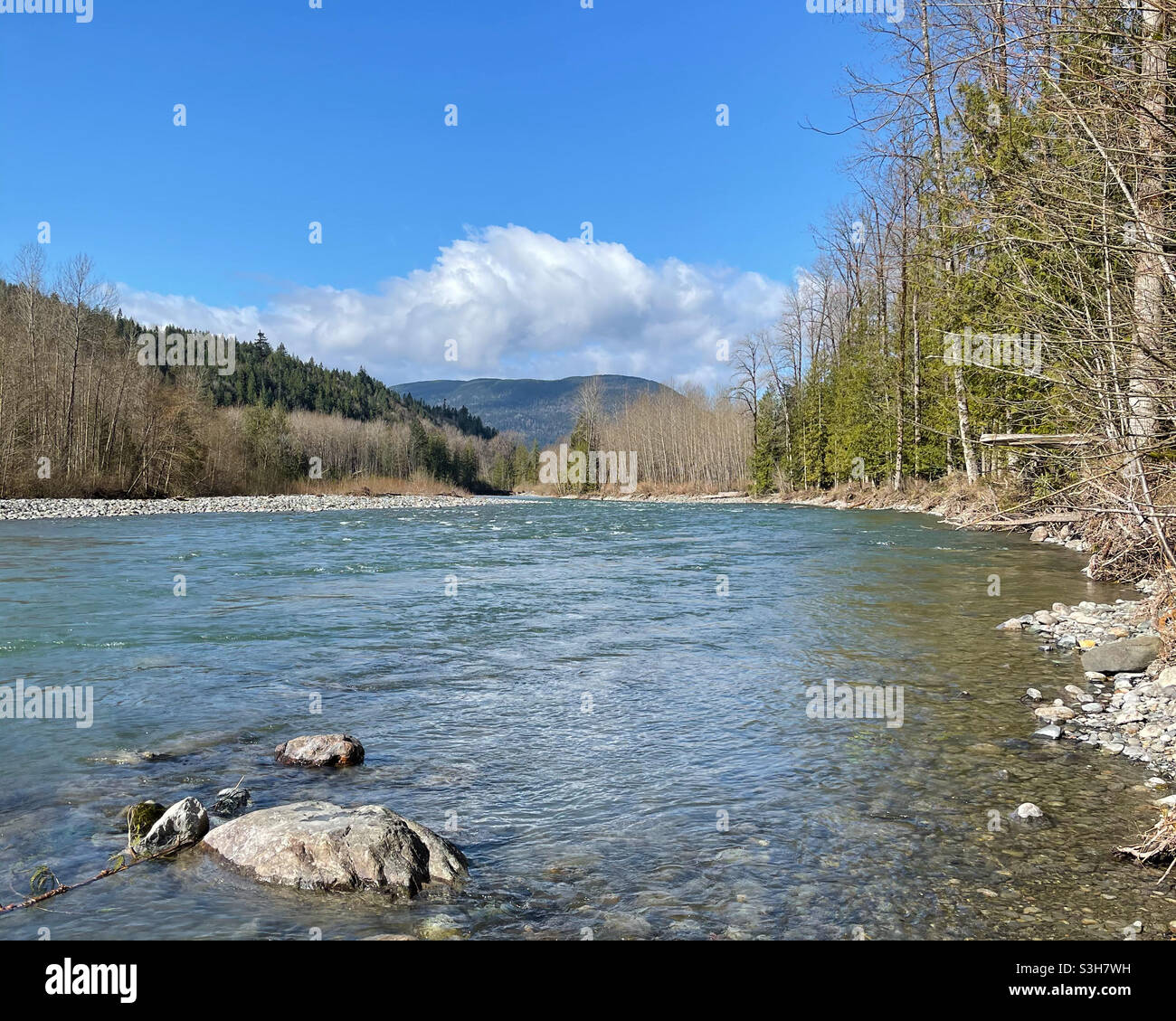 Fiume Vedder Foto Stock