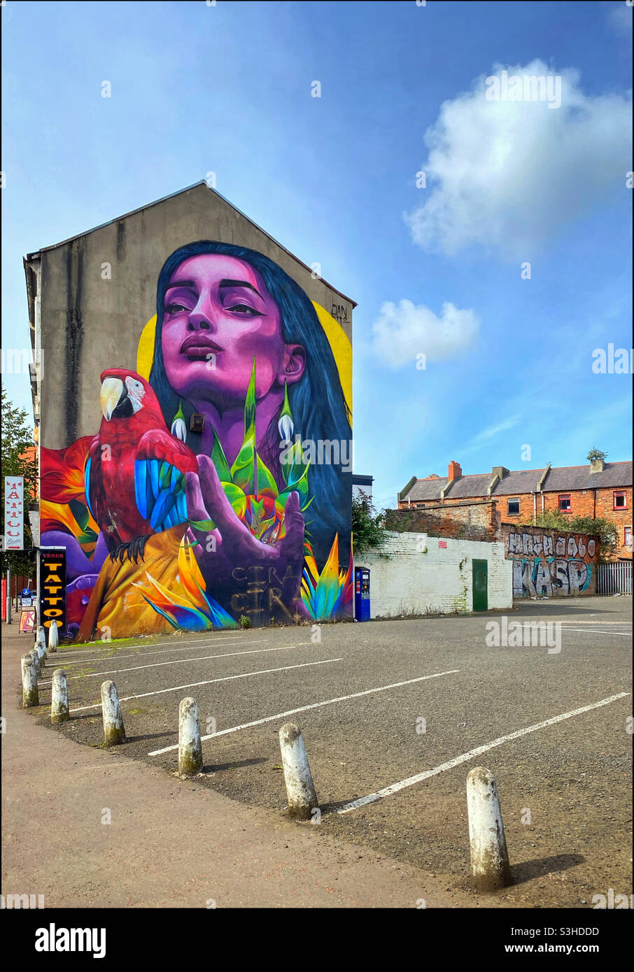 Murale "Woman and Parrot" dipinto sul lato di un edificio a 3 piani nel centro di Belfast, Irlanda del Nord. L'opera d'arte è stata creata dall'artista colombiano Sancho Medina. Foto ©️ COLIN HOSKINS. Foto Stock