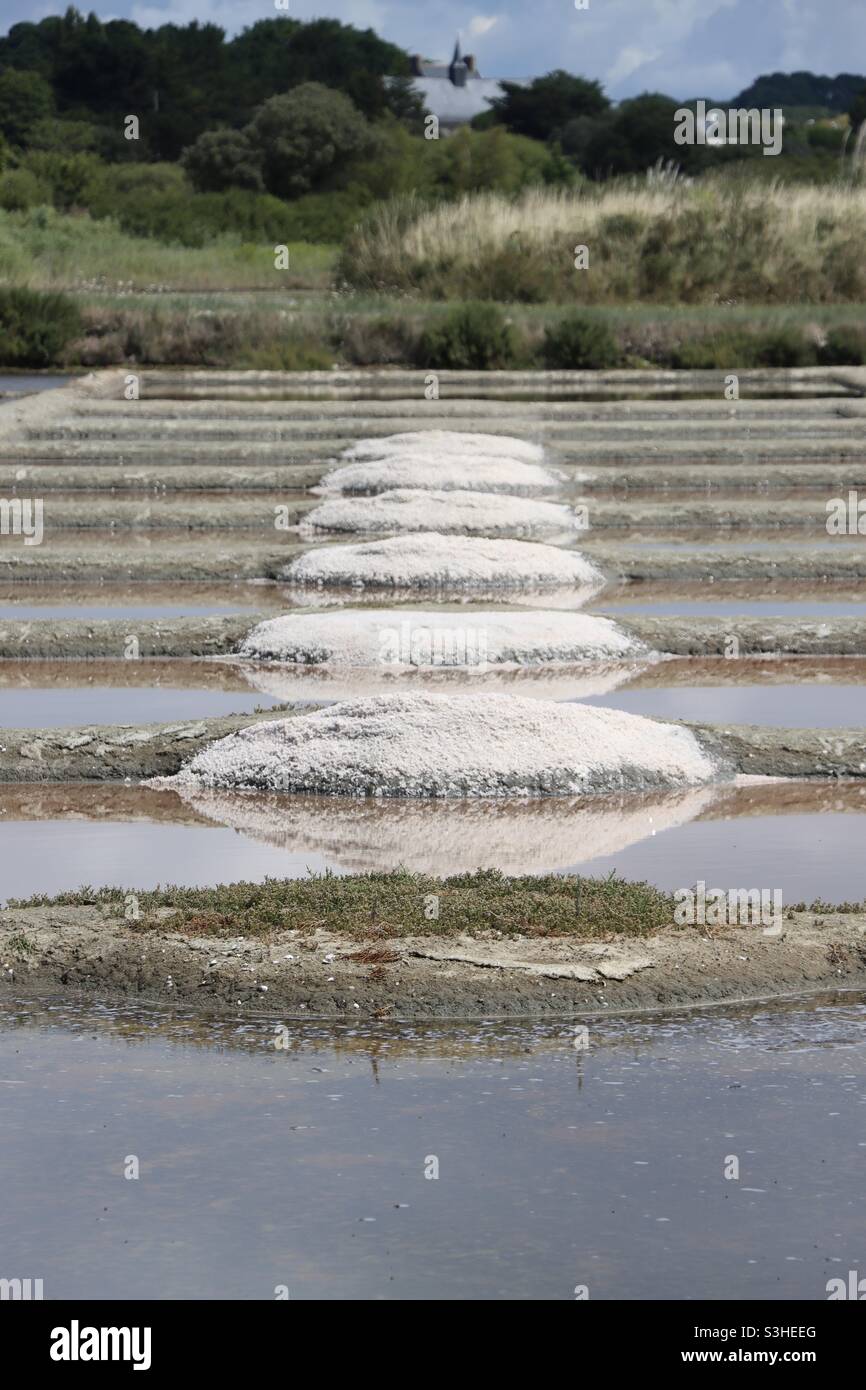 Paludi di sale a Guerande, Loire Atlantique, Francia Foto Stock