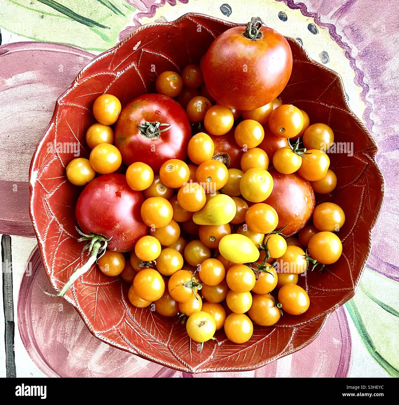 Terrina di pomodori - Immagine stock catturata con smartphone