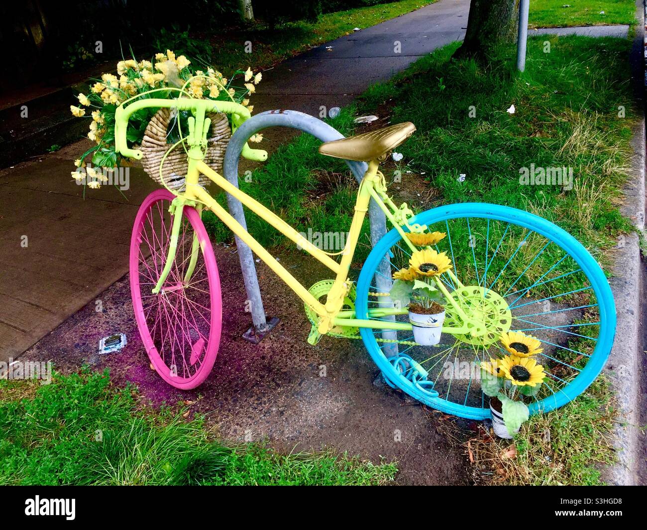 Vecchia bicicletta ripurposed, dipinta in colori appariscenti come decorazione del negozio-fronte, Halifax, Canada. Icona alla moda per un ristorante. Salvato. Display con fiori. Street Art - Immagine stock catturata con smartphone