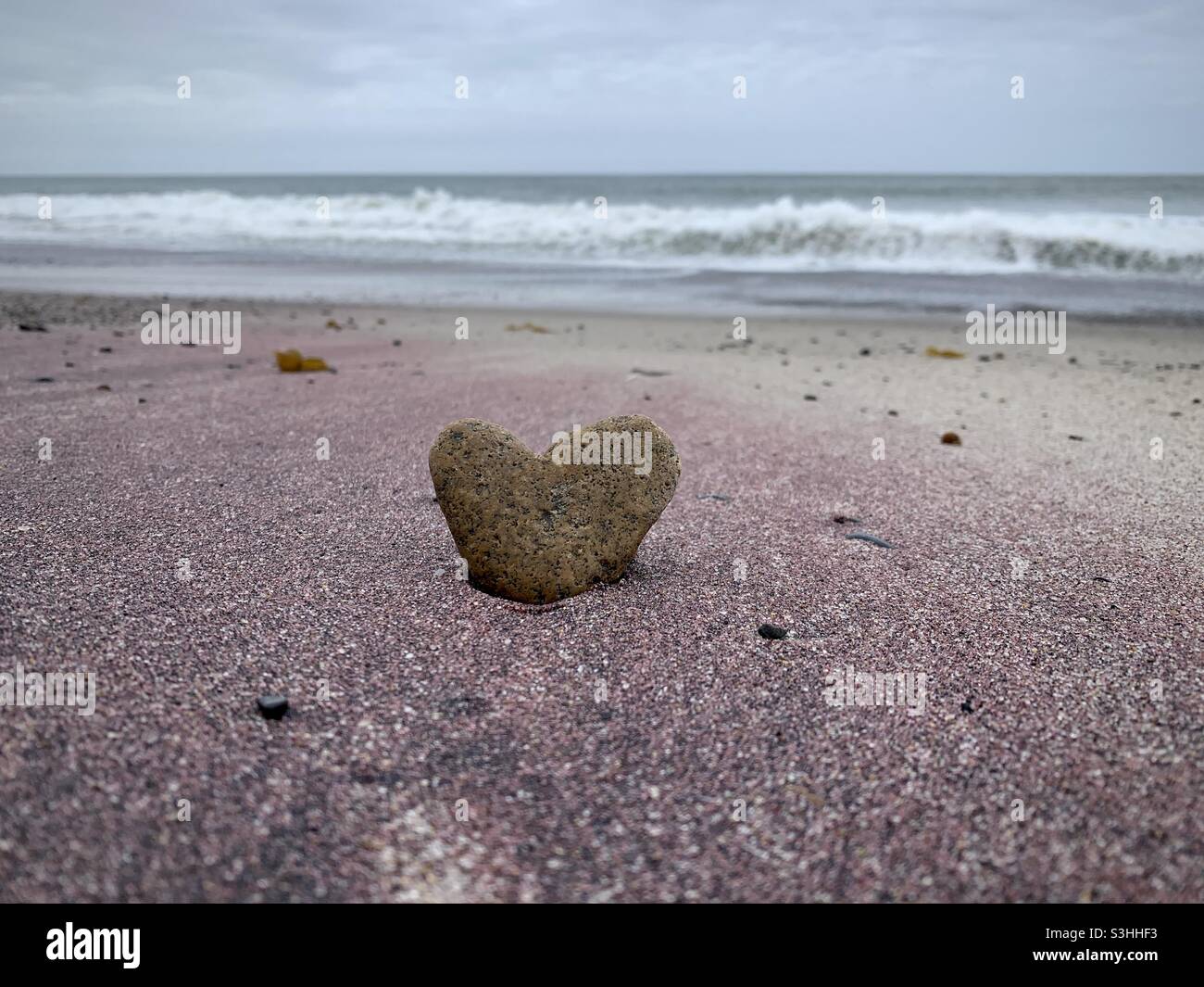 Una roccia a forma di cuore si stacca dalla sabbia su una spiaggia californiana. La sabbia circostante è porpora rosa. Foto Stock