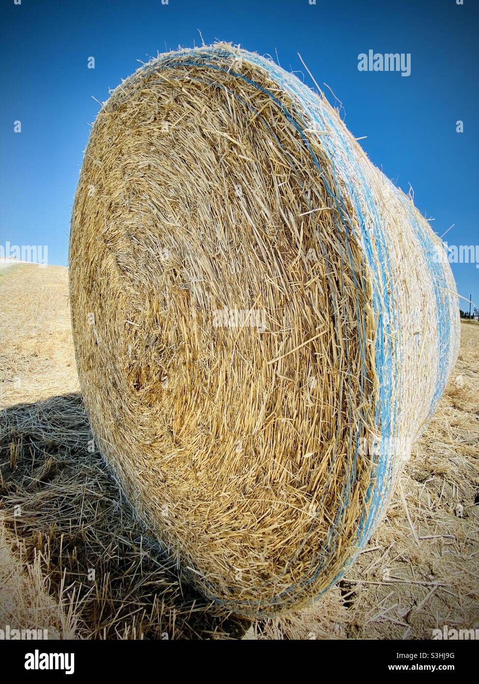 Balla di fieno in azienda Foto Stock