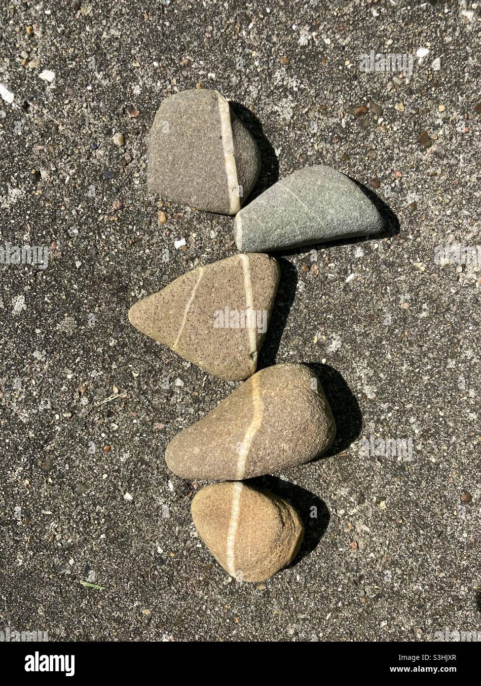 i ciottoli di colore grigio con una striscia bianca sono così vicini che le strisce formano una linea continua Foto Stock