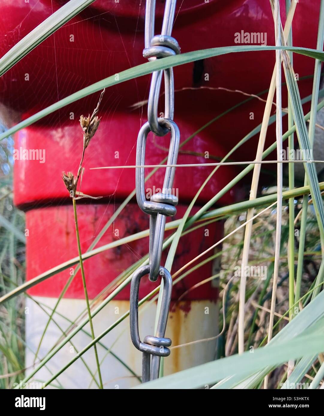 una catena conduce verticalmente oltre un oggetto rosso attraverso l'erba verde - Immagine stock catturata con smartphone