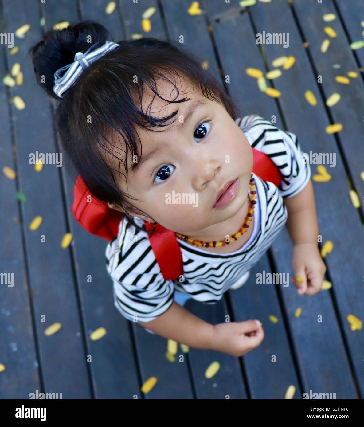 Bambino cerca qualcosa Foto Stock