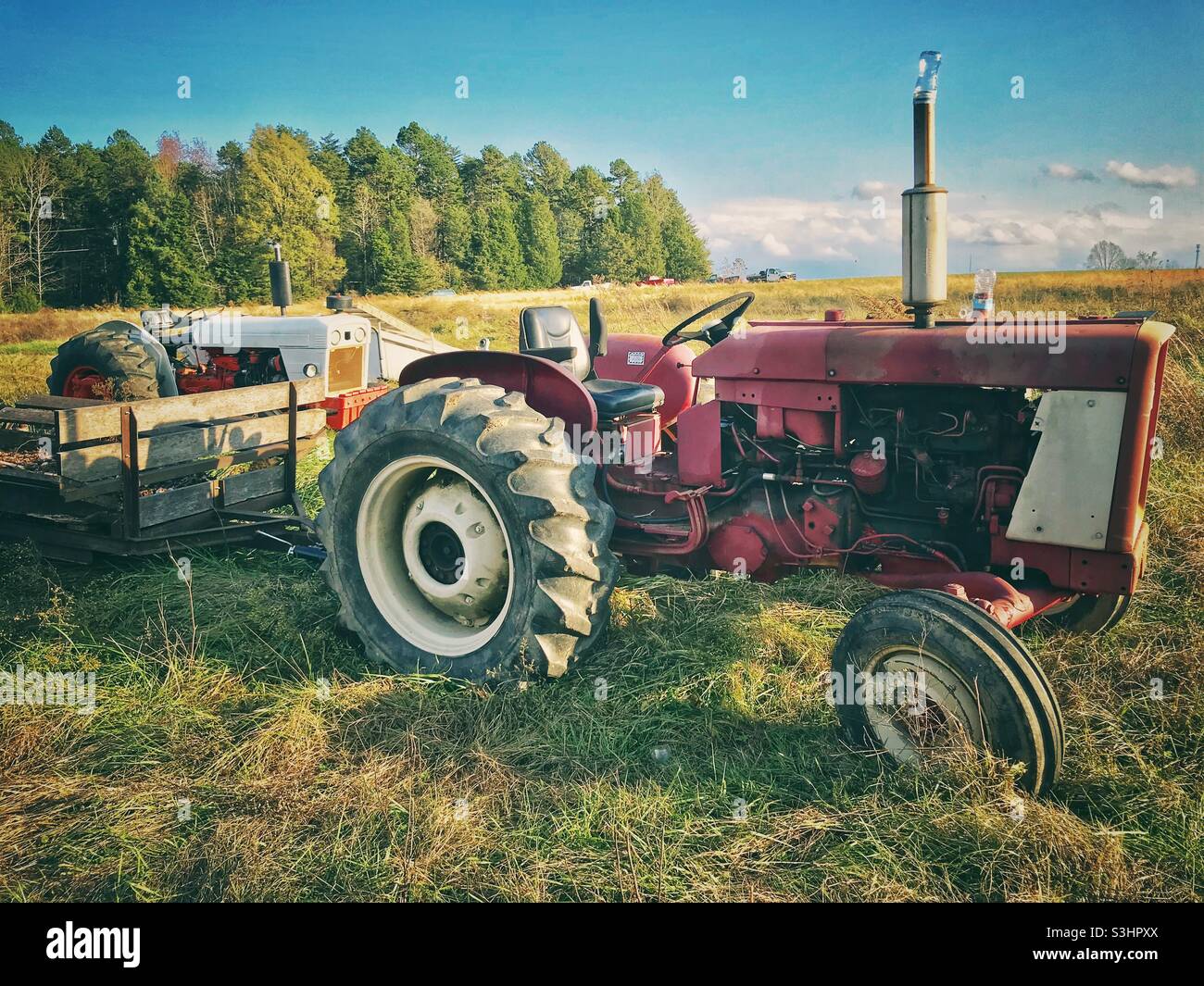 Vecchi trattori in fattoria nel pomeriggio sole, autunno Foto Stock