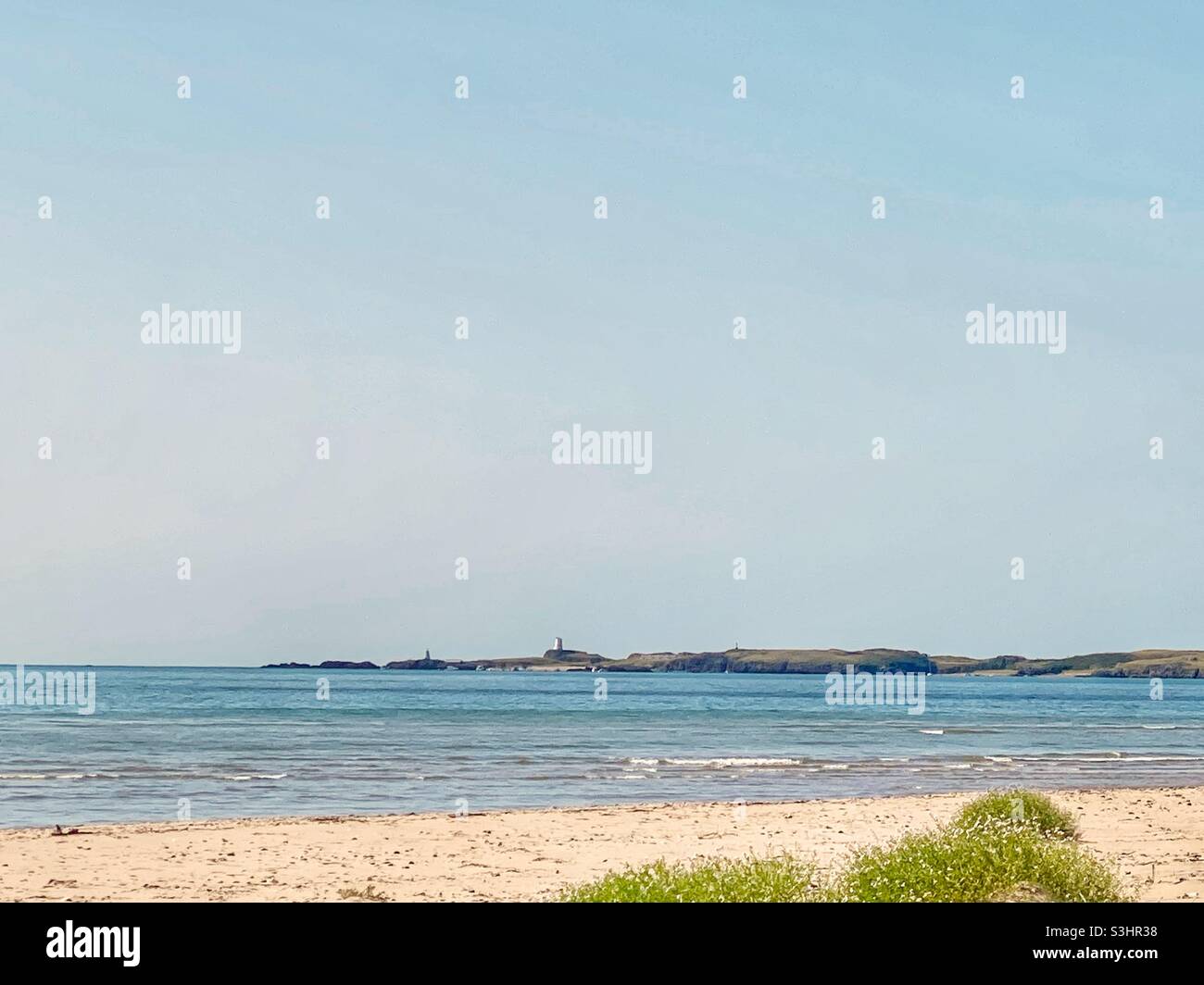 Ebreo di Llandwyn Island, da Newborough Warren Beach, Anglesey, galles del nord, regno unito Foto Stock