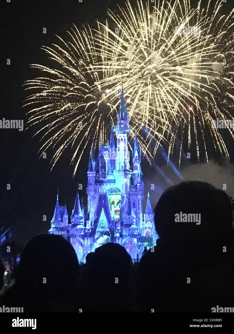 Fuochi d’artificio notturni di Walt Disney World al Castello di Cenerentola Foto Stock